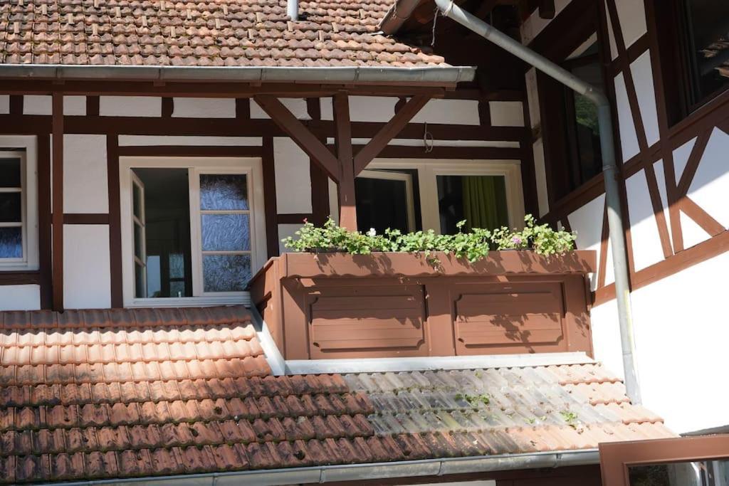 Апартаменты Haus Nilson Генгенбах Экстерьер фото